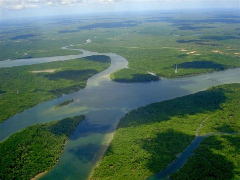 Amazon River - Rainforest, Tributaries, Basin | Britannica