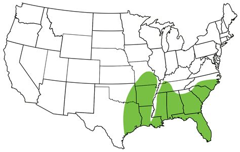 Pygmy Rattlesnake | South Carolina Partners in Amphibian and Reptile ...