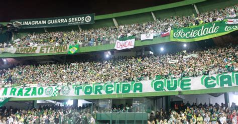 Torcida do Palmeiras diz em protesto que não precisa da Rede Globo ...