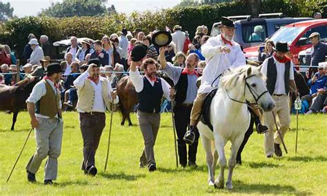 Wonders of Widecombe Fair - things to do in Devon Cornwall news