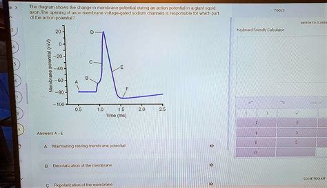 The diagram shows the change in membrane potential during an action ...