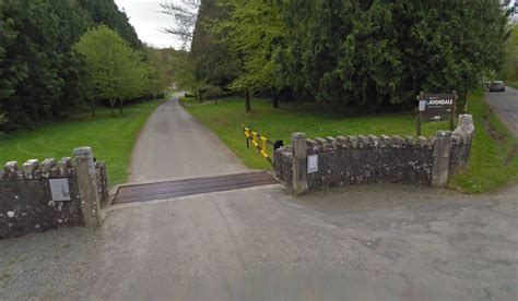 Manhunt under way after woman attacked out jogging in Wicklow - Extra.ie