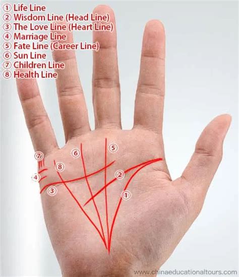 How Chinese Palmistry Works: How to Read & Palm Lines Meaning