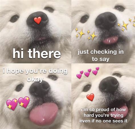 Just checking in! | /r/wholesomememes | Wholesome Memes | Know Your Meme