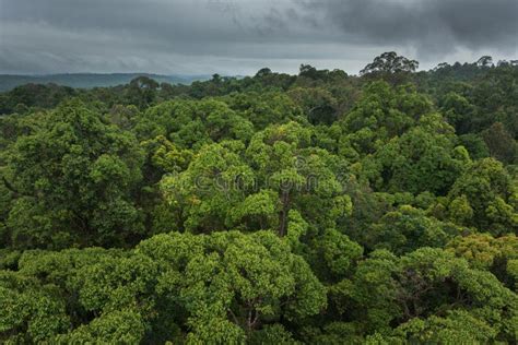 Landscape View of Dry Tropical Evergreen Forest,Thailand Stock Photo ...