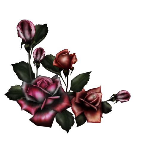 Gothic Rose Transparent HQ PNG Download | FreePNGimg