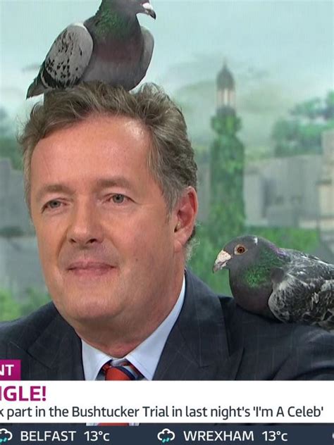 Home Alone 2: Piers Morgan denies he played the pigeon lady | The ...