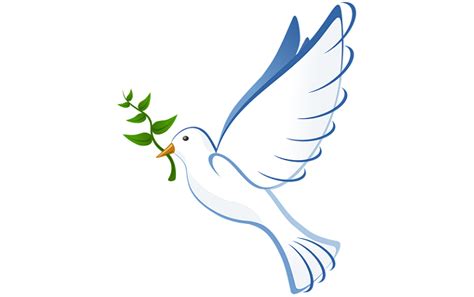 Dove With Olive Branch – Meaning and Symbolism - Meaning Zone