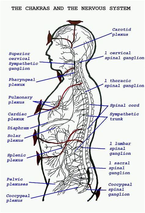 THE AURA - PERSONAL ENERGY FIELD