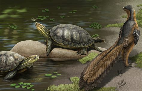 CSUF, Alabama Paleontologists Discover New Species of Giant Fossil ...