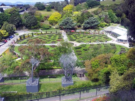 Wellington Botanic Garden - All You Need to Know BEFORE You Go (2024)