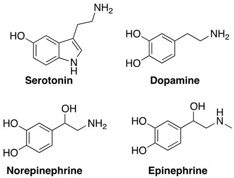 Figure 1. The monoamine neurotransmitters implicated in the monoamine ...