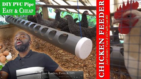 Pvc Chicken Feeder: How To Make A Feeder From A Pvc Pipe