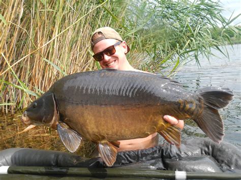 It's showtime.... here's an insight into European carp fishing!