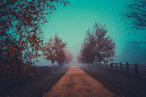 Blue Fog on Behance