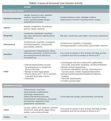 Liver Enzyme Interpretation and liver function tests