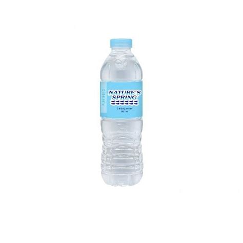 Nature's Spring Purified Water 500mL | Shopee Philippines