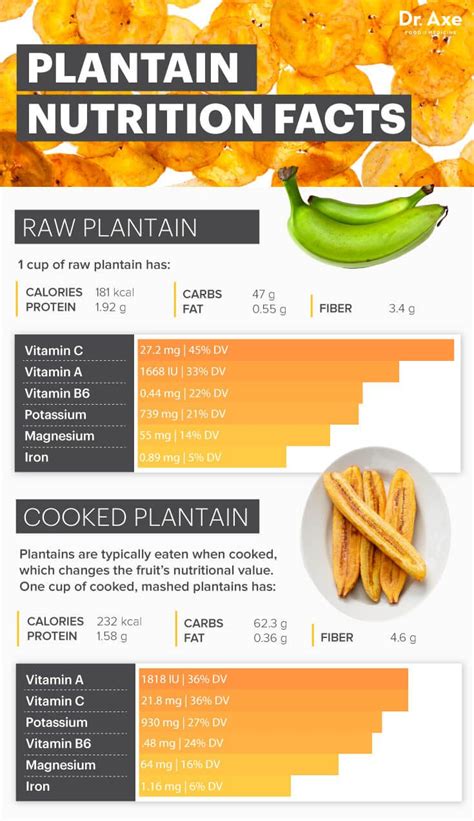 Fried Plantain Nutritional Benefits - feds