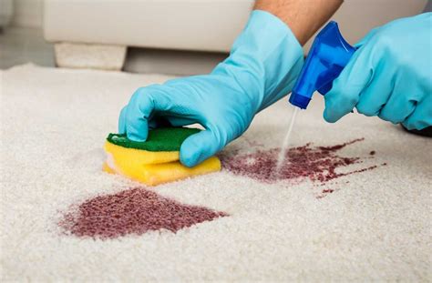 Carpet Cleaning: 6 Tips from the Pros - Prim Mart