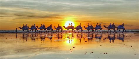 Broome Camel Safaris | Sunset Camel Rides Cable Beach