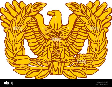 USA - Warrant Officer Insignia Stock Photo - Alamy