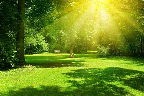 Bright sunny day in park. | Scenery background, Anime scenery, Anime ...