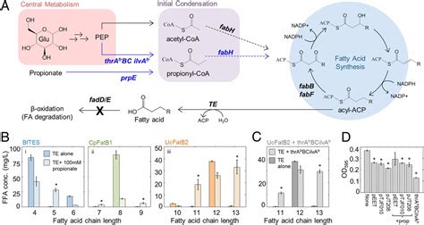 Tailored fatty acid synthesis via dynamic control of fatty acid ...