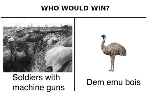 the emu war meme - Google Search History Memes, World History, Emu War ...