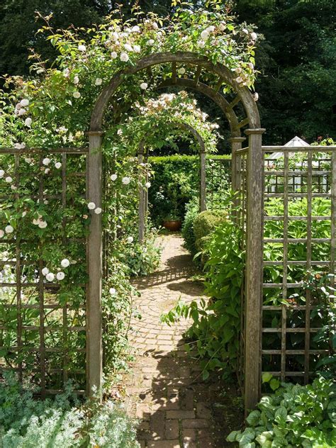 Trellis ideas for gardens: 15 chic screens to add plants, privacy and ...