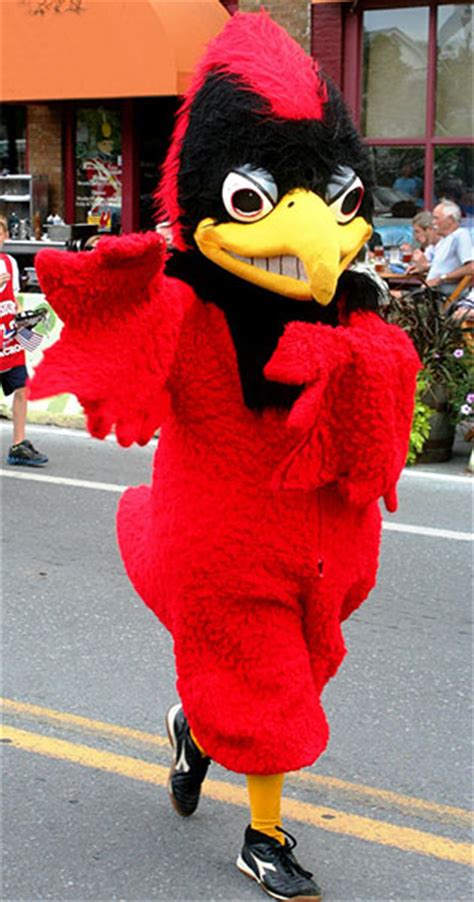 SUNY Mascot Madness Round 1/Game 11 - Binghamton vs SUNY Orange