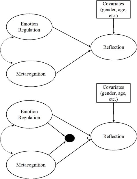 Frontiers | What is metacognitive reflection? The moderating role of ...