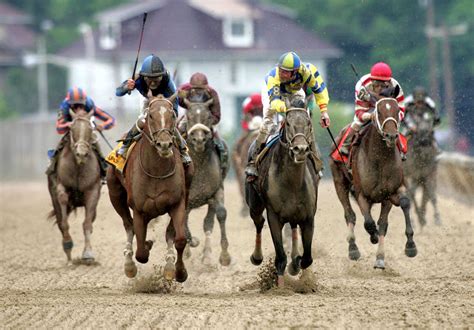 Las 7 mayores rivalidades en carreras de caballos durante los últimos ...