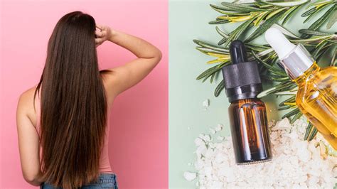 Rosemary oil for hair growth: Benefits and Top Picks | HealthShots