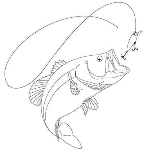 Largemouth Bass Drawing Outline | Images and Photos finder