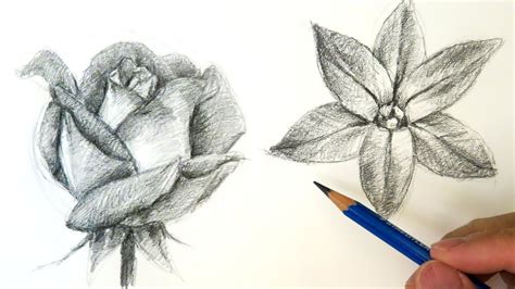 Drawing and Shading Flower - YouTube