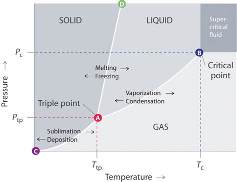 12.7 Phase Diagrams - Chemistry LibreTexts