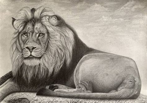 Lion Drawings In Pencil