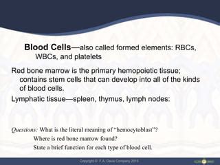 Ch11 - Blood | PPT