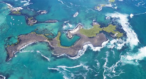 Quel est le prix d'un voyage aux îles Galapagos ? | Tourlane