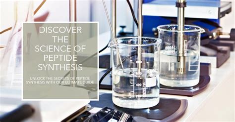 The Ultimate Guide To Peptide Synthesis: Everything You Need To Know