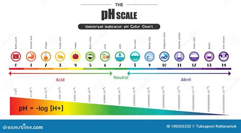 Het PH PH Van De Schaal Universele Indicator Diagram Van De ...