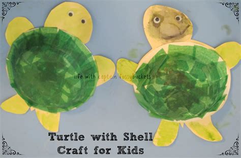 Turtle with Shell Craft