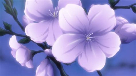 Aggregate 77+ purple anime flowers best - in.coedo.com.vn