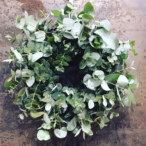 Eucalyptus wreath – Flourish Florists