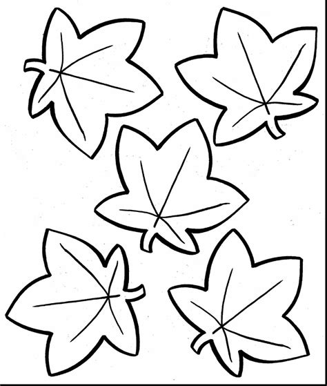 Pumpkin Leaves Drawing | Free download on ClipArtMag