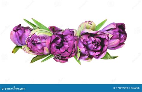 Purple Peony Tulip Flowers in a Floral Arrangement Stock Image - Image ...