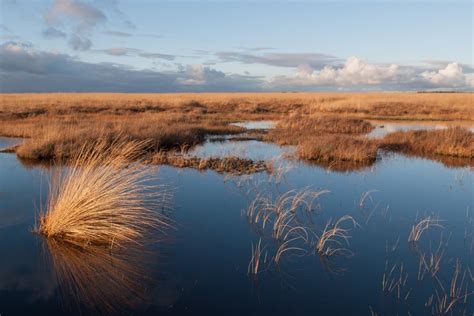 National Park De Hoge Veluwe - find our top tips here - Holland.com