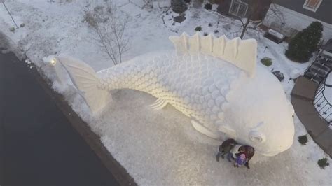 the snow fish as seen from above - YouTube