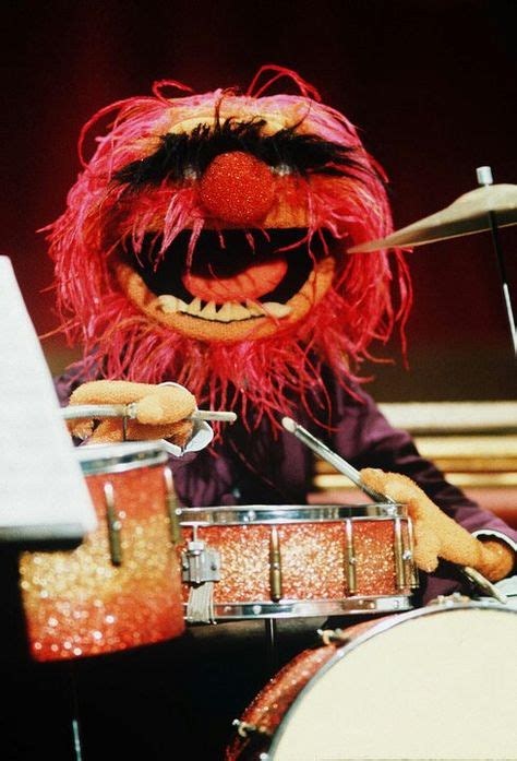 58 Animal best drummer ever ideas | muppets, animal muppet, the muppet show