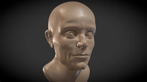 Sculpting Practice #19 (Male Head) - Buy Royalty Free 3D model by Ryan ...